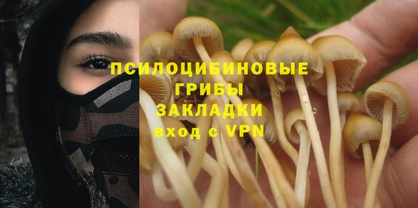 дурь Алексин