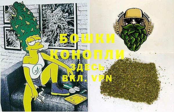 ПСИЛОЦИБИНОВЫЕ ГРИБЫ Алексеевка