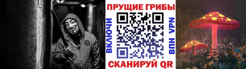 Галлюциногенные грибы мухоморы нарко площадка как зайти Новопавловск